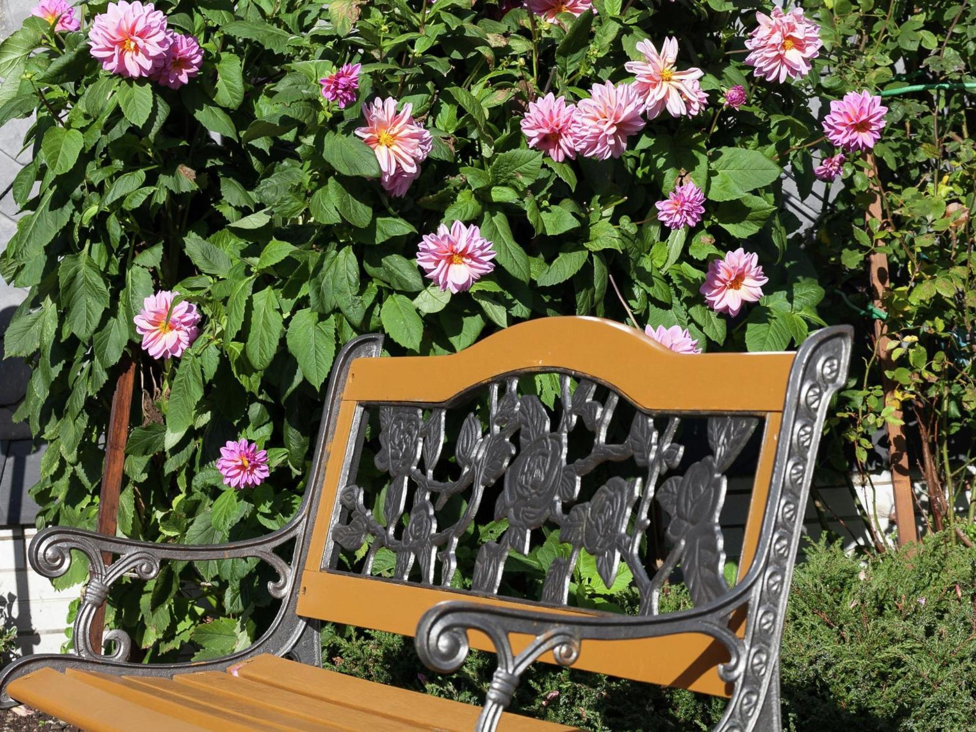 Apartment In Thuringian Forest With Garden Oberweißbach 외부 사진